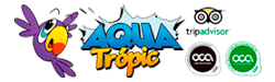 Blog Aqua Tropic | Parque Acuático Almuñecar