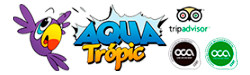 Aqua Tropic